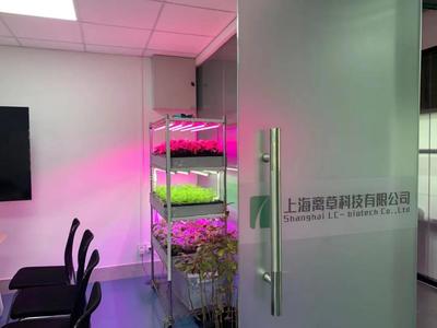 新聞中心的照明設(shè)備 科技與藝術(shù)的交融，打造專業(yè)傳播空間